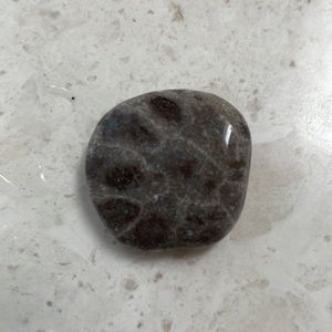 Petoskey Stone in Gift Bag